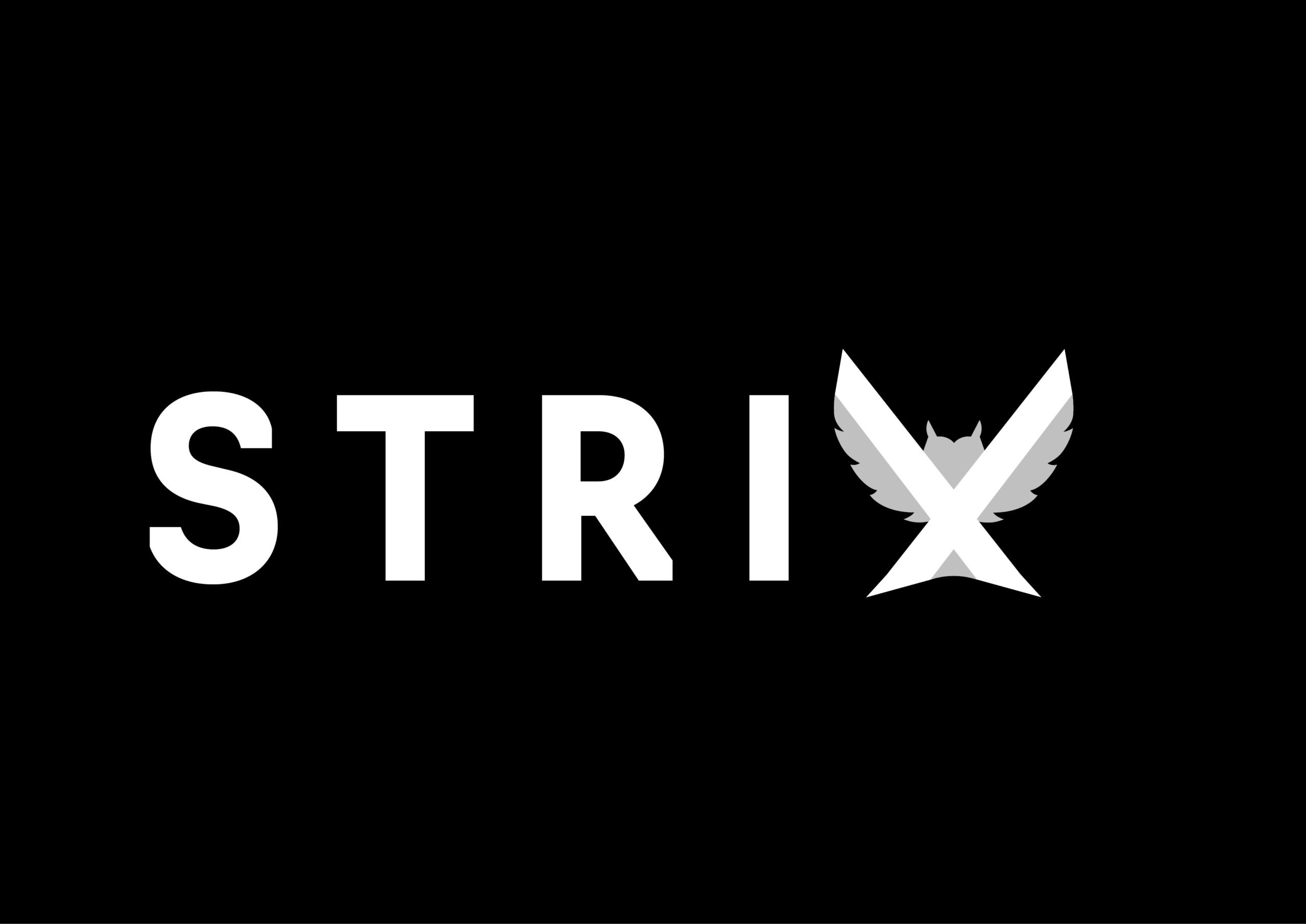 logo Strix