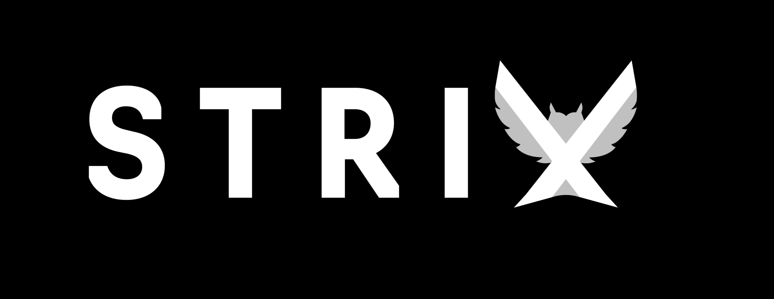 logo Strix