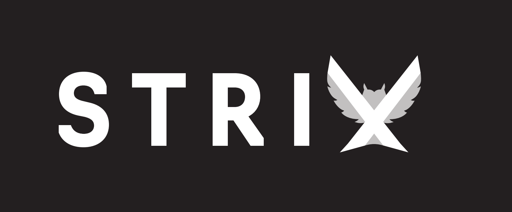 logo Strix